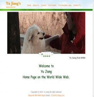 101 英文个人 7页 图片js翻转特效 友情链接 表格