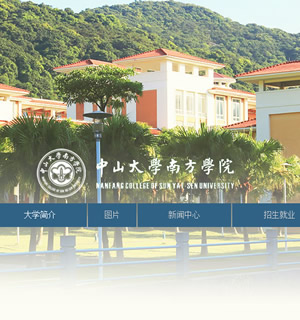 739 学院 6页 表格 flash 下线删除
